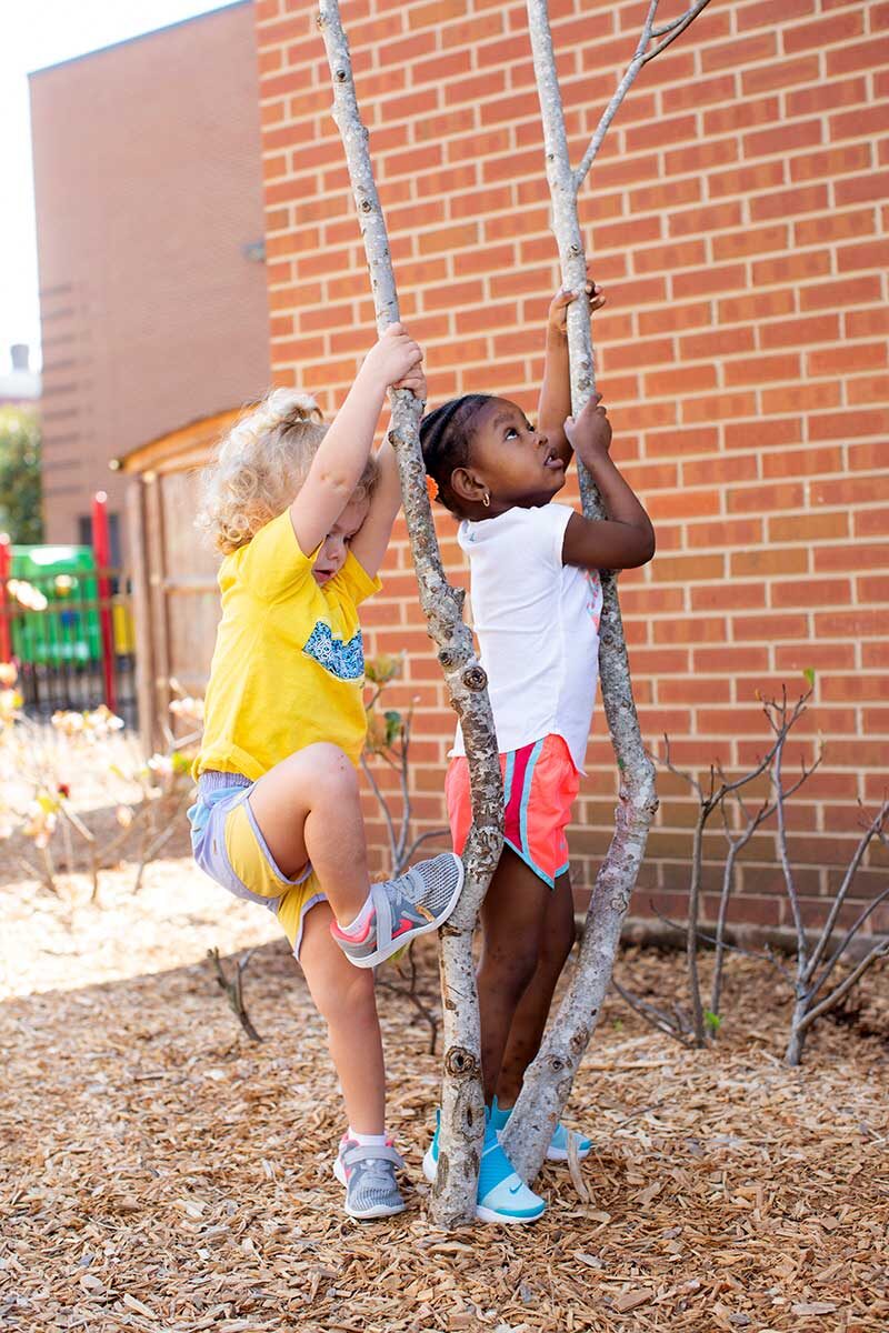 school-kids-treeclimb2-800v-6754983