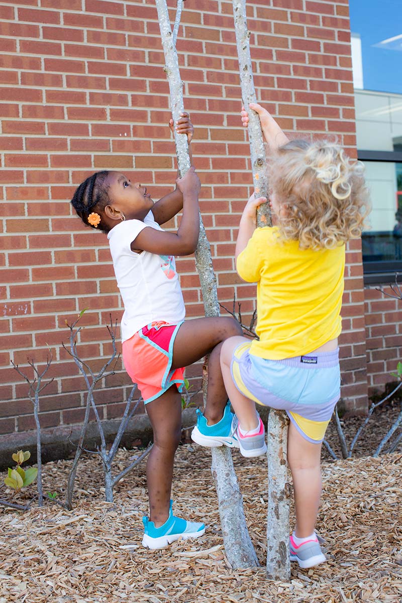 school kids treeclimb v
